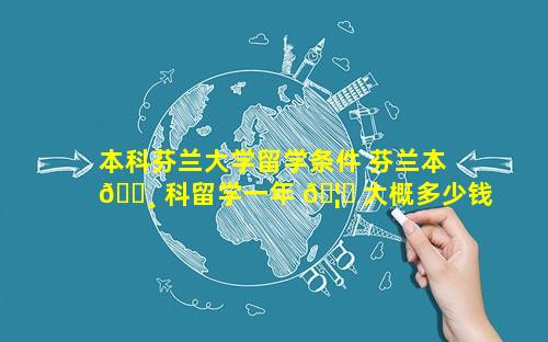 本科芬兰大学留学条件 芬兰本 🌸 科留学一年 🦋 大概多少钱费用